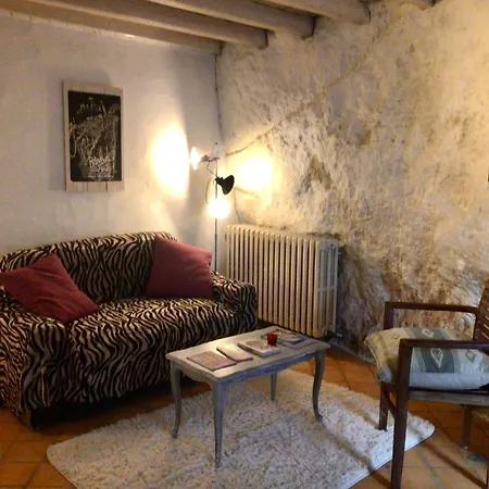 La Grotte Du Pèlerin - Semi-troglodyte Saintes