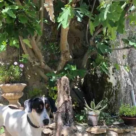 La Grotte Du Pèlerin - Semi-troglodyte