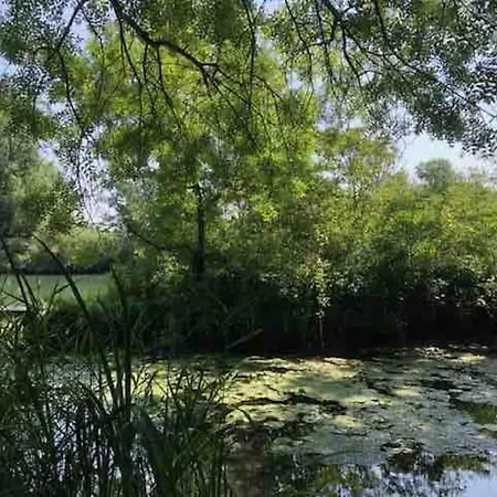 Apartman La Grotte Du Pelerin - Semi-troglodyte Saintes