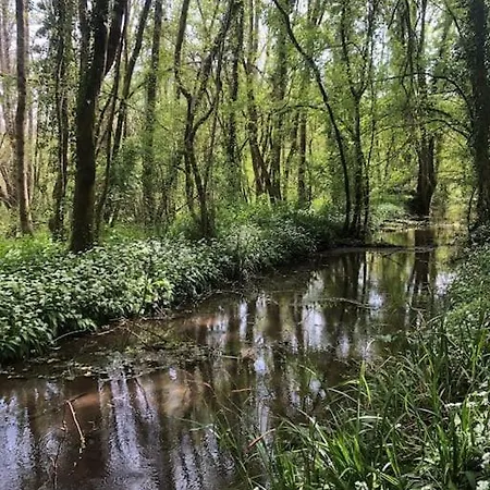 La Grotte Du Pelerin - Semi-troglodyte Apartman Saintes